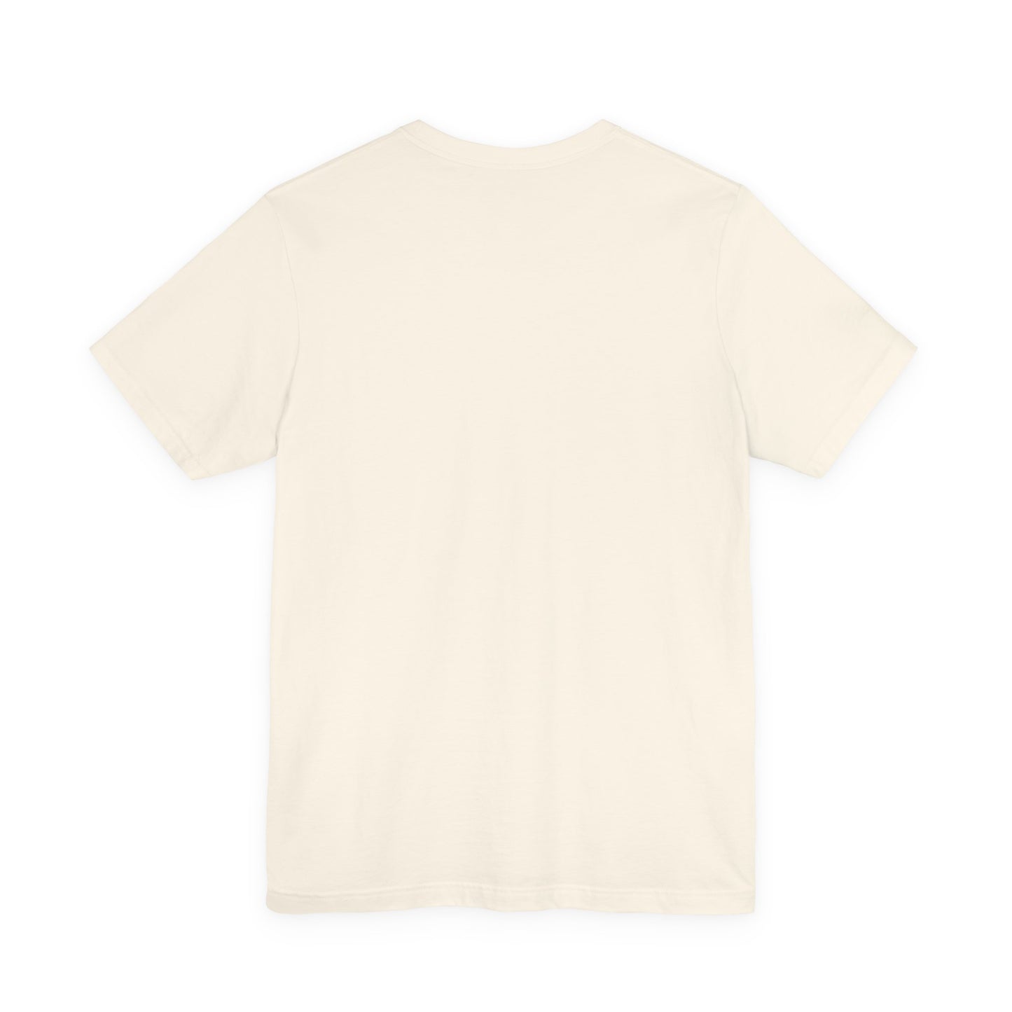 I Believe UFO T-Shirt — Alien Abduction Graphic Tee